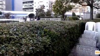 《ぱらだいす天堂中文WWW最新版》中文在线观看-枪战...